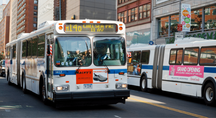 Busses in New York City