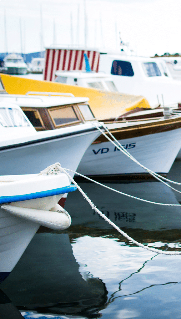 Several boats at a dock